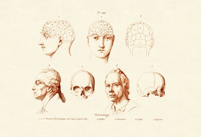 Phrenology by French School